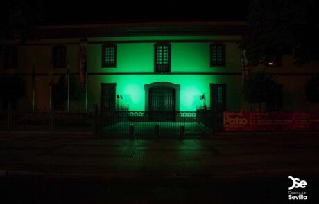 Diputación Sevilla 1